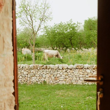 Tenuta Tedone Consolini Villa Ruvo di Puglia Exterior foto