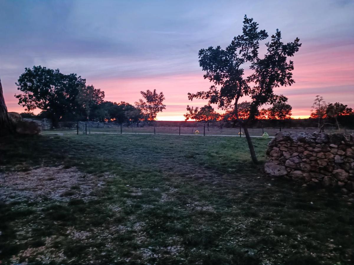Tenuta Tedone Consolini Villa Ruvo di Puglia Exterior foto