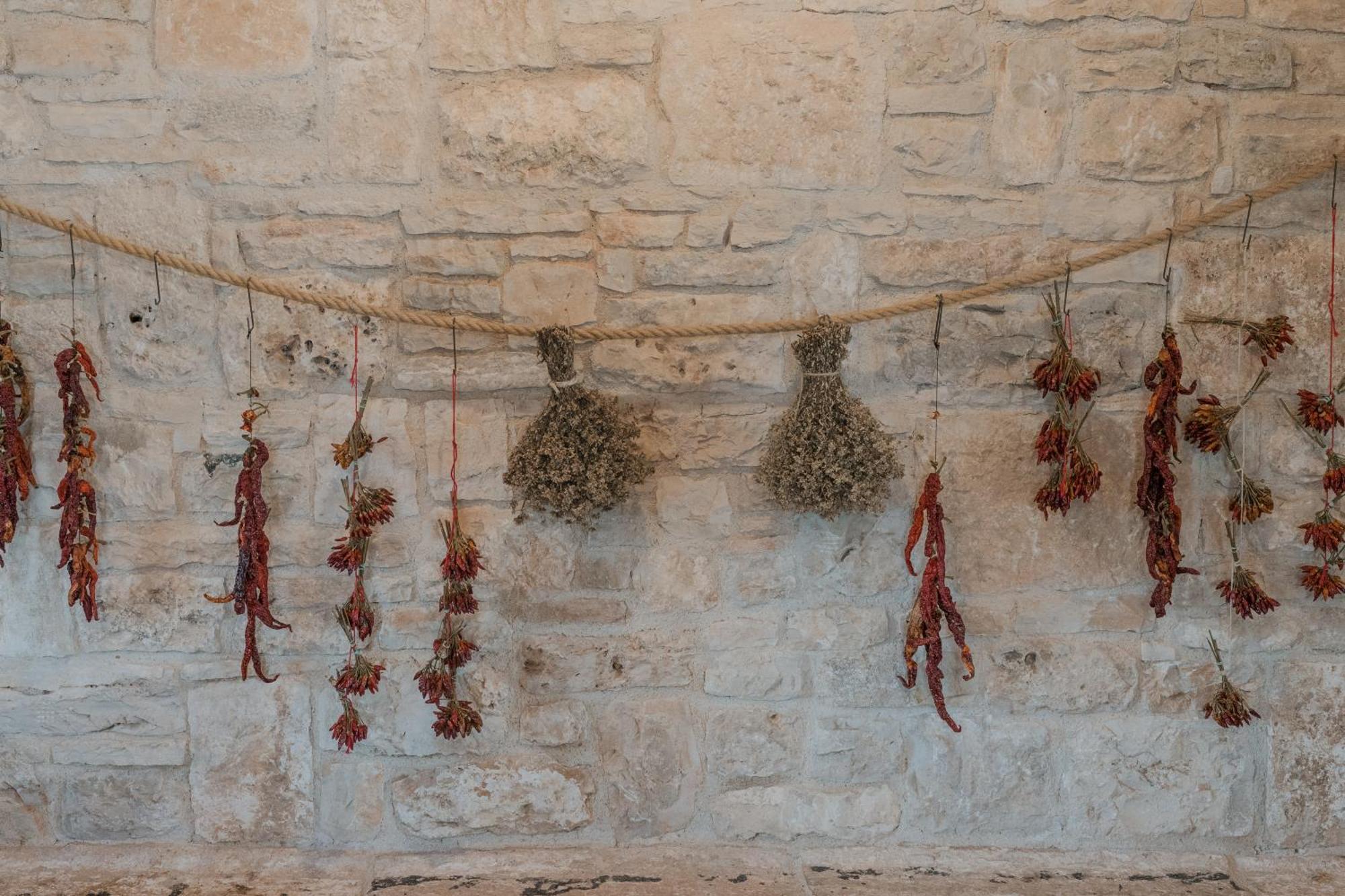 Tenuta Tedone Consolini Villa Ruvo di Puglia Exterior foto