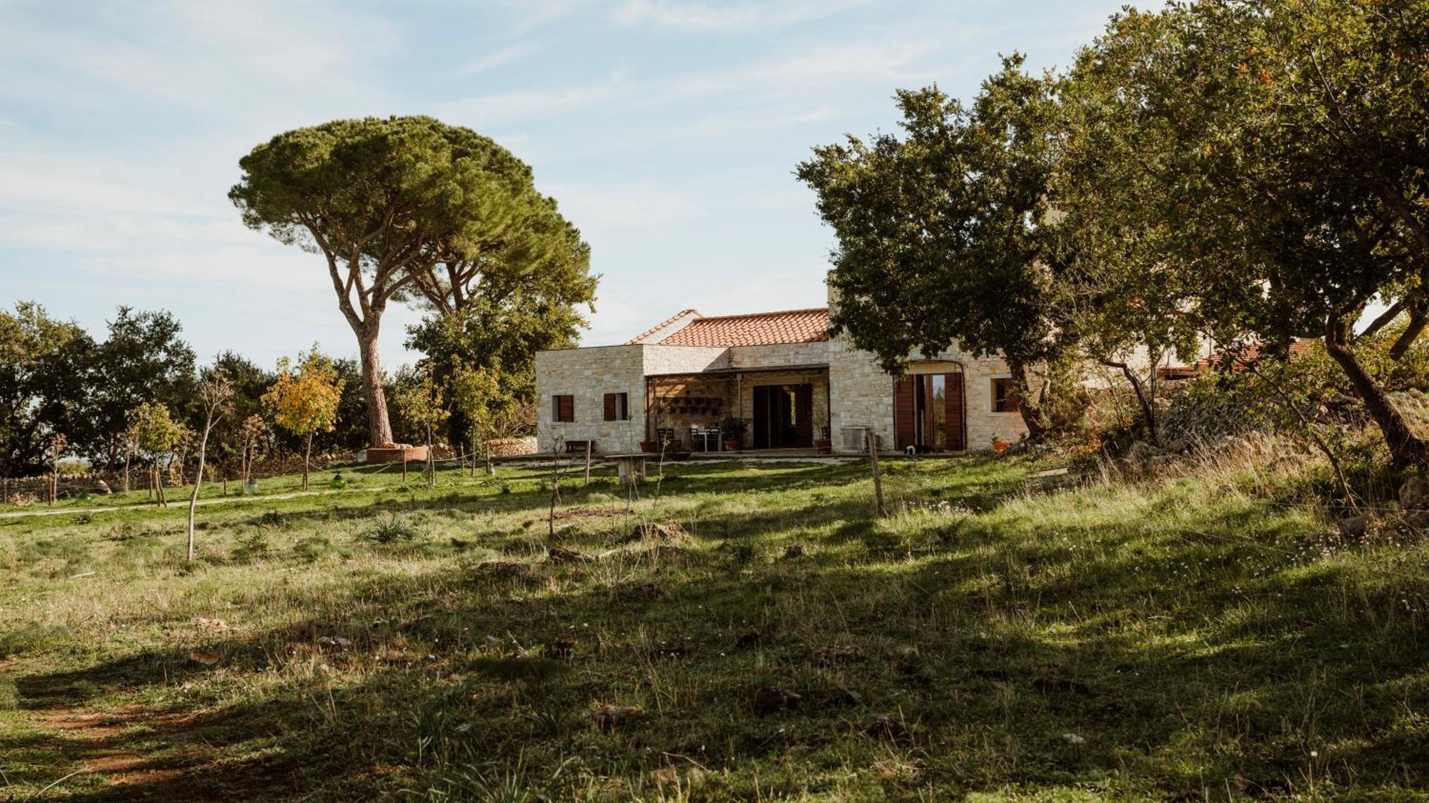 Tenuta Tedone Consolini Villa Ruvo di Puglia Exterior foto
