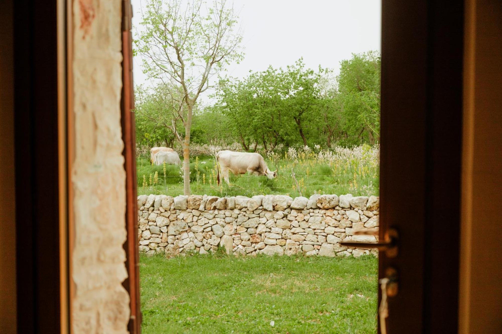 Tenuta Tedone Consolini Villa Ruvo di Puglia Exterior foto