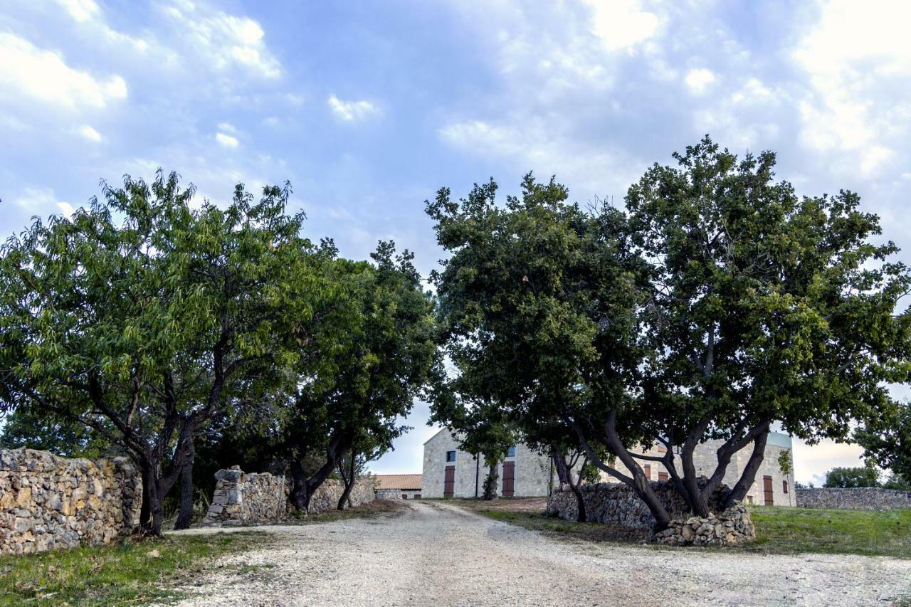 Tenuta Tedone Consolini Villa Ruvo di Puglia Exterior foto