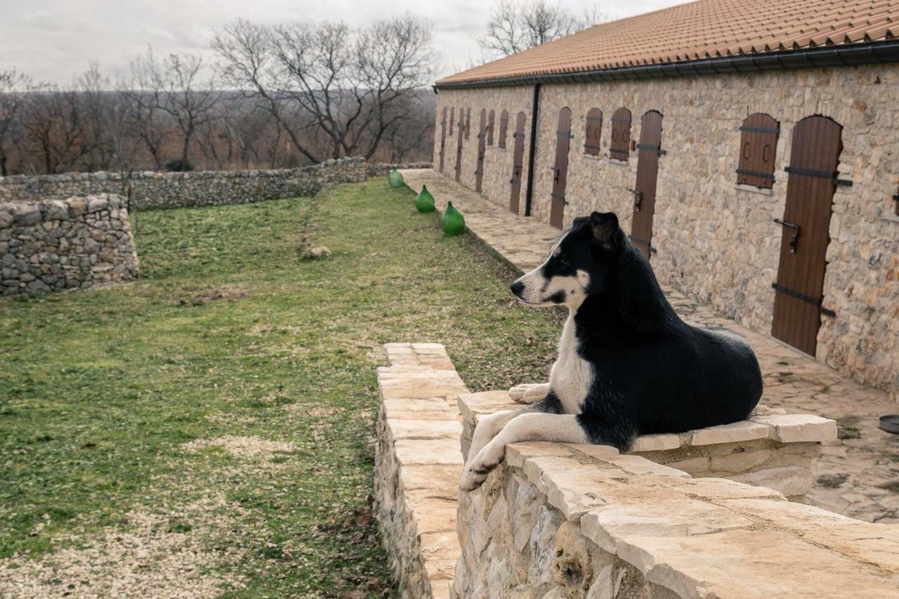 Tenuta Tedone Consolini Villa Ruvo di Puglia Exterior foto