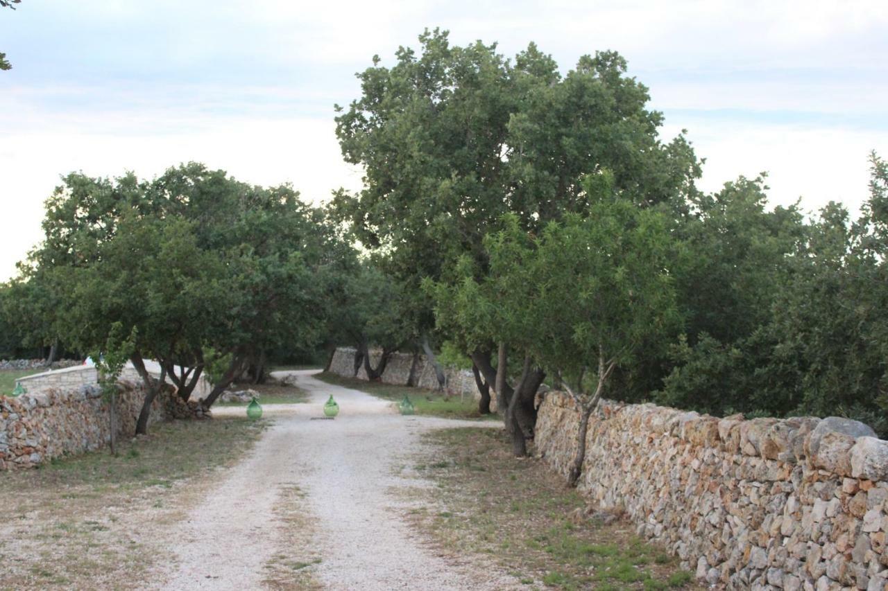 Tenuta Tedone Consolini Villa Ruvo di Puglia Exterior foto