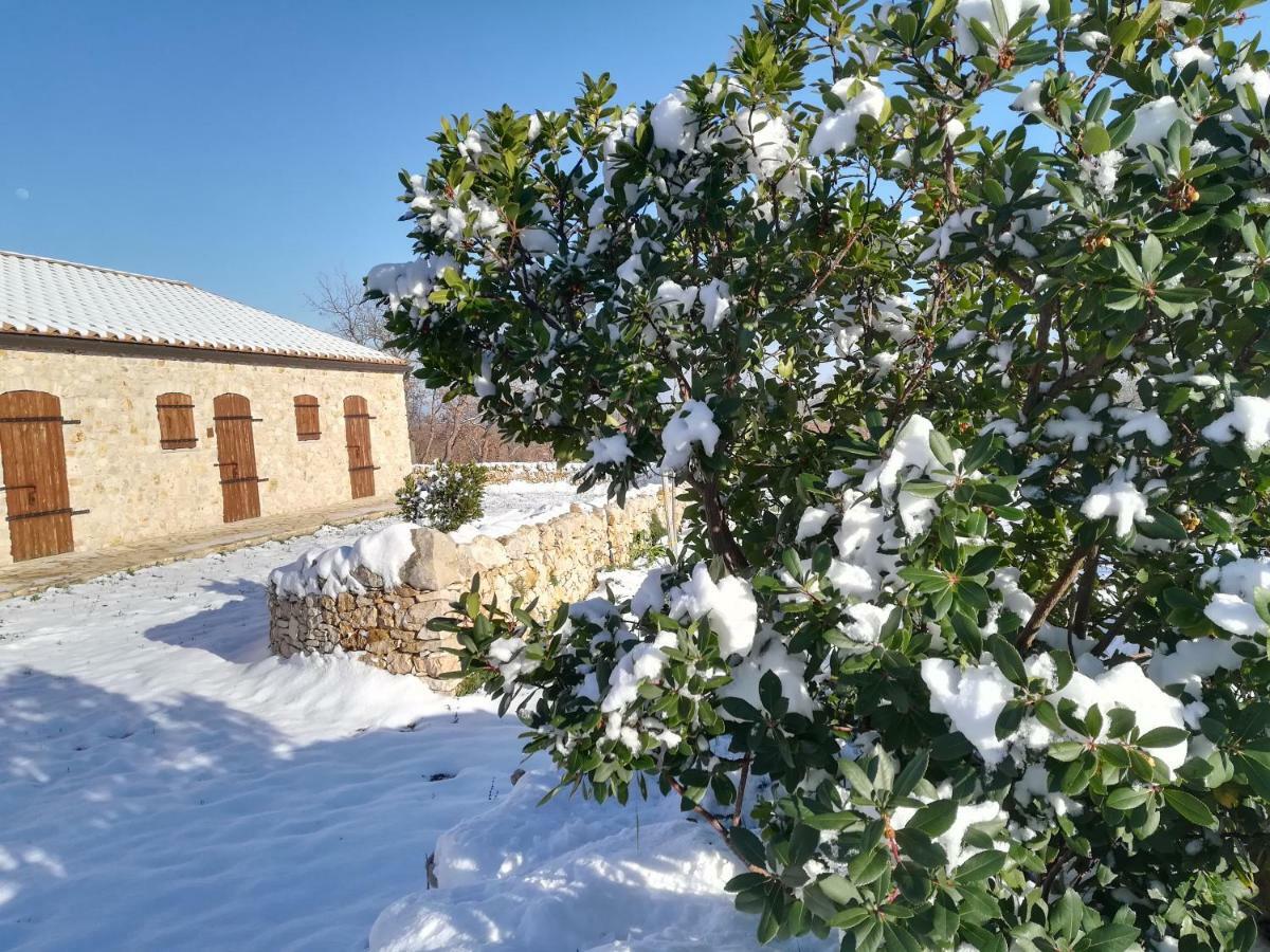 Tenuta Tedone Consolini Villa Ruvo di Puglia Exterior foto