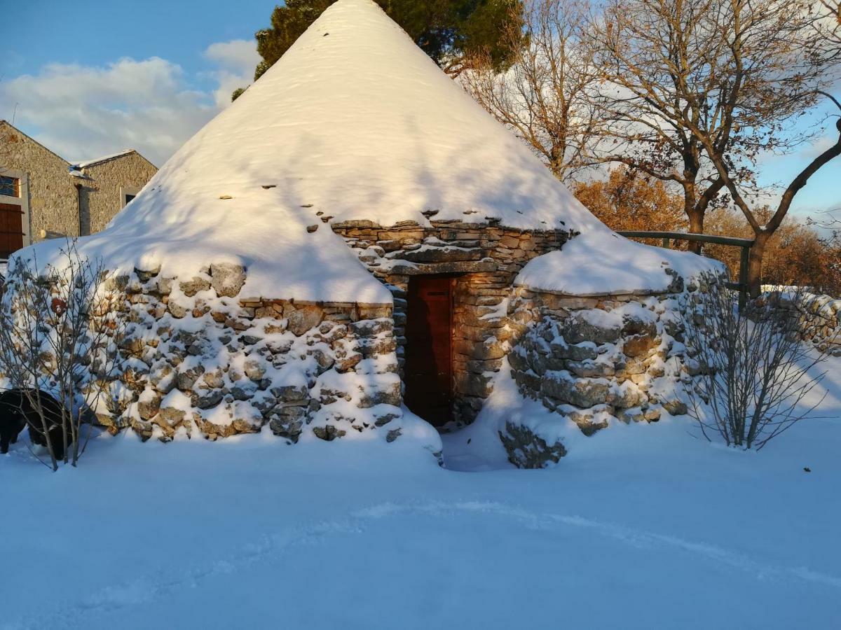 Tenuta Tedone Consolini Villa Ruvo di Puglia Exterior foto